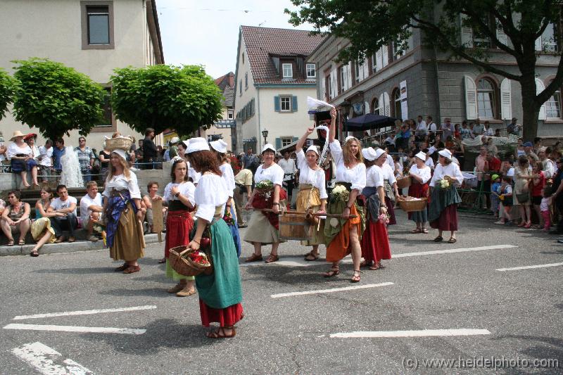IMG_6540 (2) 